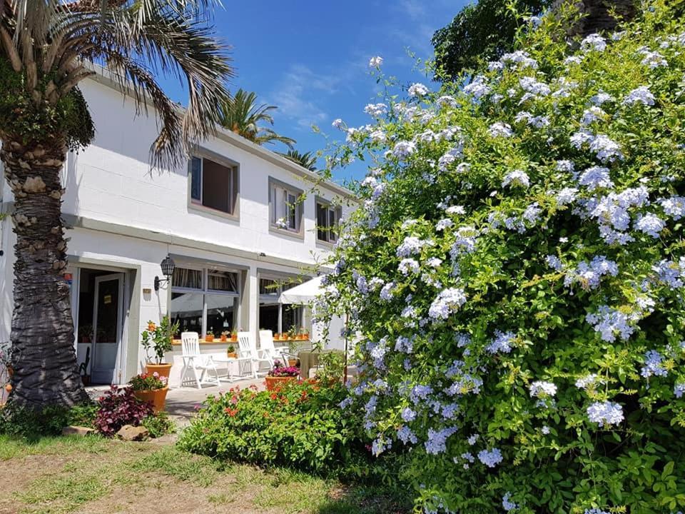 Hotel Puerto Las Palmas Punta del Este Kültér fotó